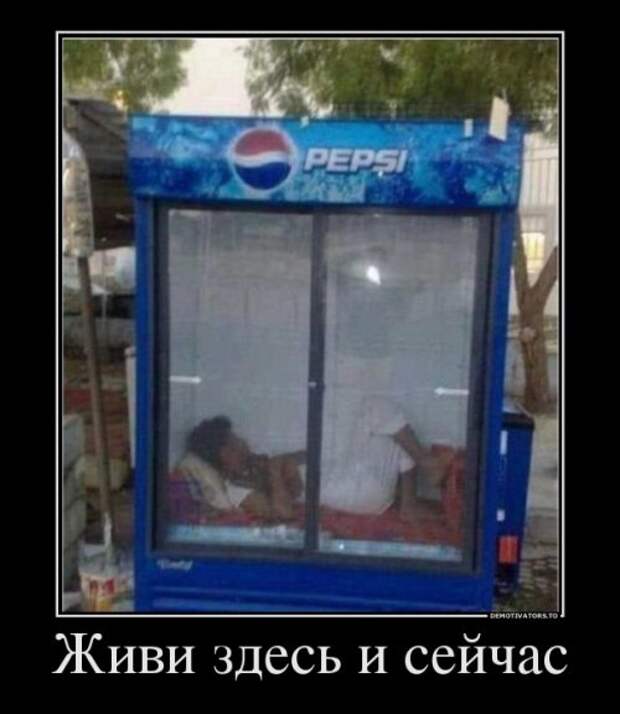 Сборник свежих демотиваторов (15 шт)