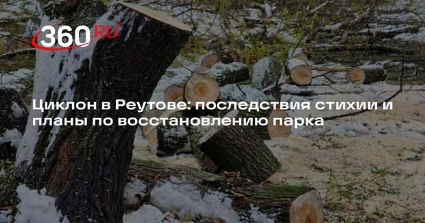 Циклон в Реутове: последствия стихии и планы по восстановлению парка
