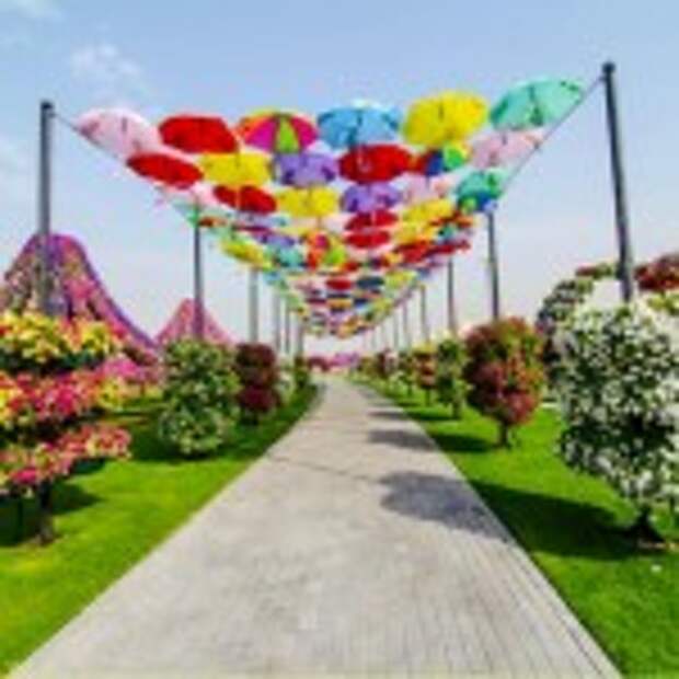 Dubai Miracle Garden