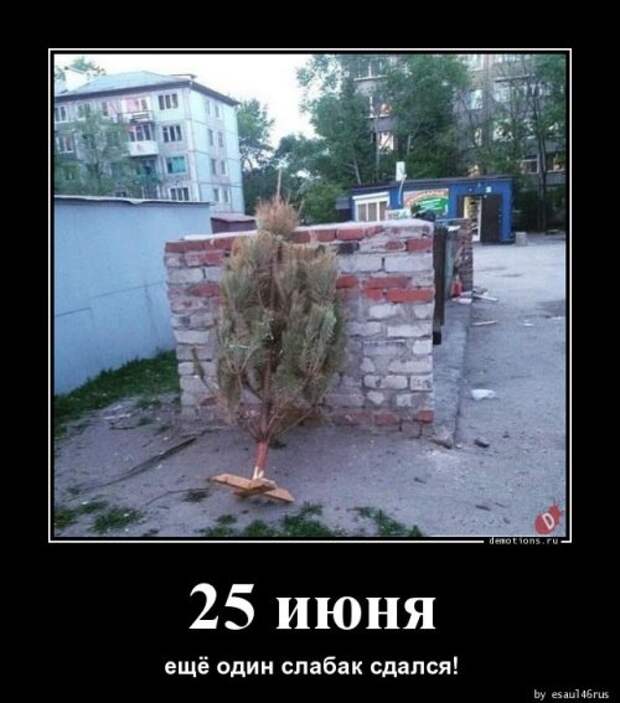 Свежая порция демотиваторов для отличного настроения