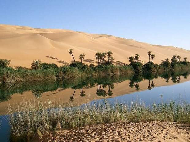 песчаные дюны или тяжелая жизнь в пустыне