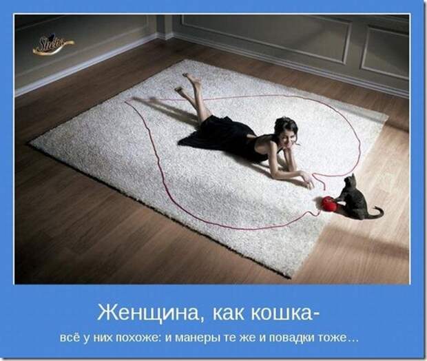 clip_image004