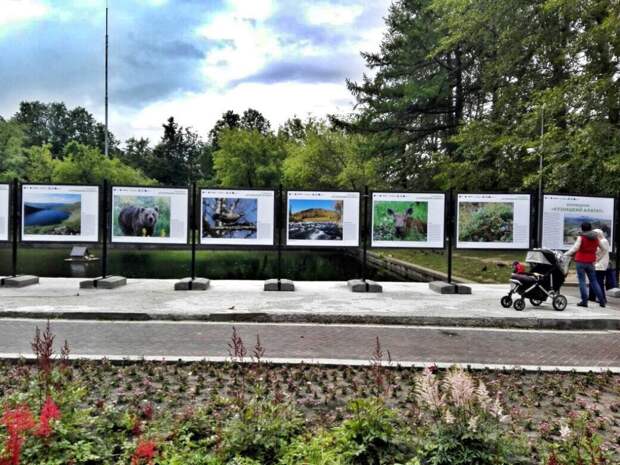 Фото: пресс-служба Гончаровского парка