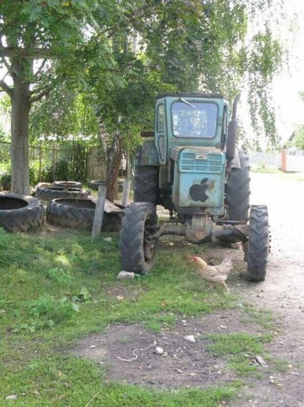 Дураки и дороги - 14