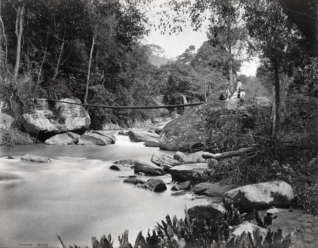Редчайшие фотографии о повседневной жизни Шри-Ланки в 1880-х годах 12