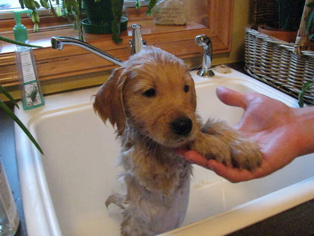 First Bath