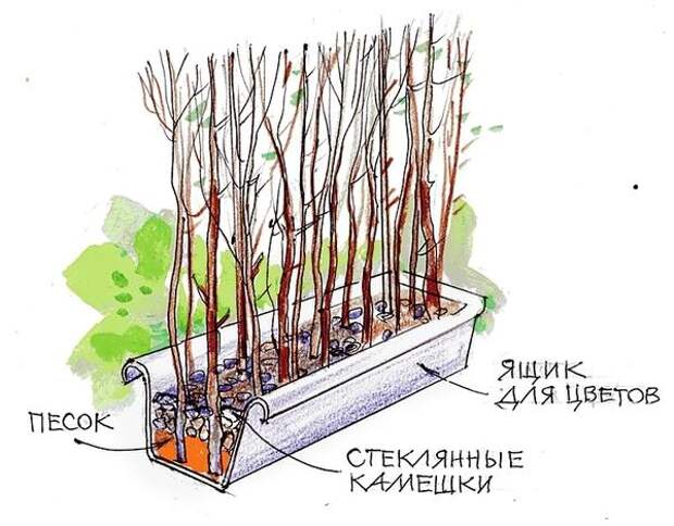 Садовая ширма в ящике