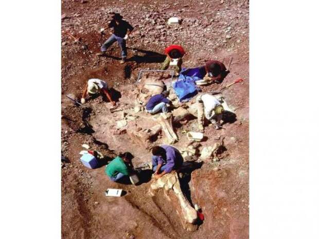 Вся правда о Нефилимах – 6-метровых людях-гигантах, живших в древности (6 фото)