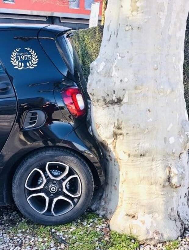 17 вещей, которые подходят друг другу так идеально, как не подходят мужья и жены