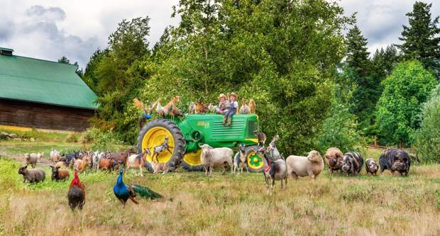 Жизнь фермеров в разных уголках планеты на фото