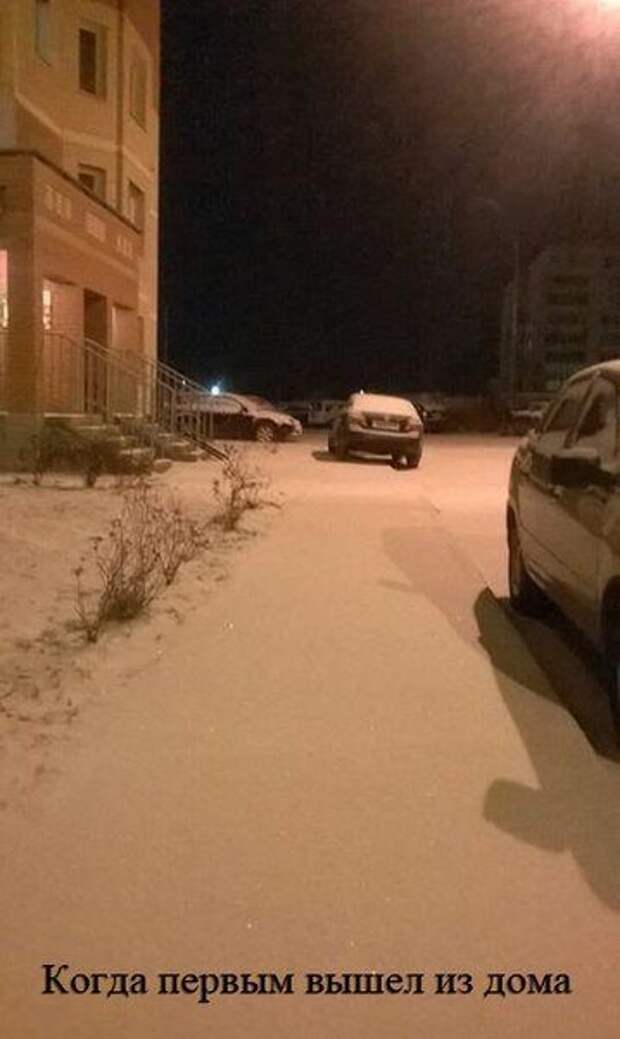 Смешные фотомемы