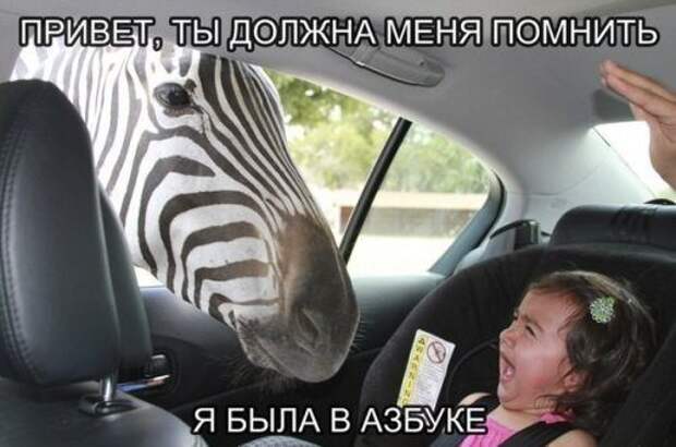 Смешные фотомемы