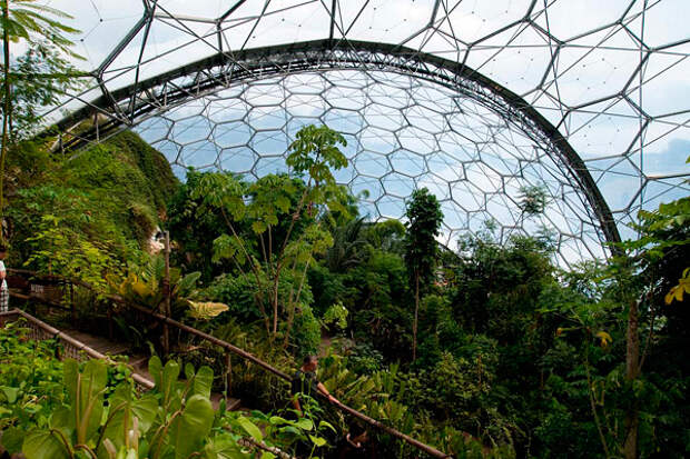 Райский сад