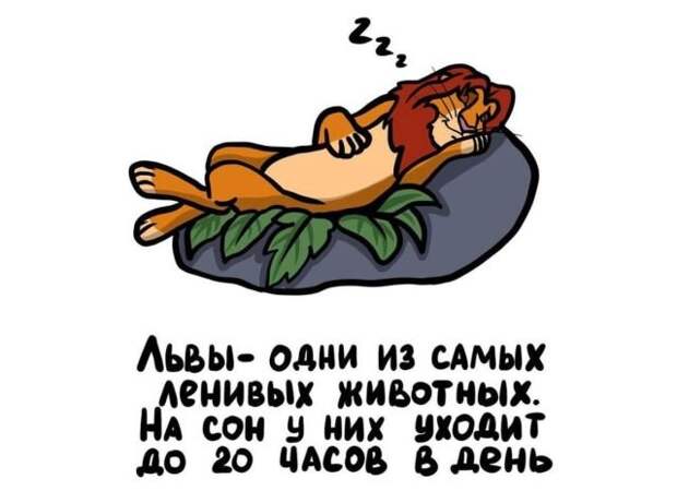 Короткие интересные факты на все случаи жизни