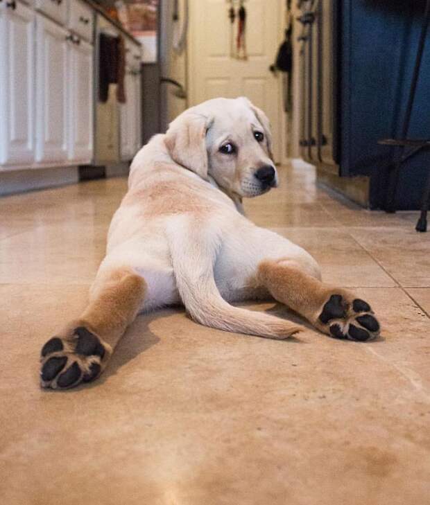 Look Back At It