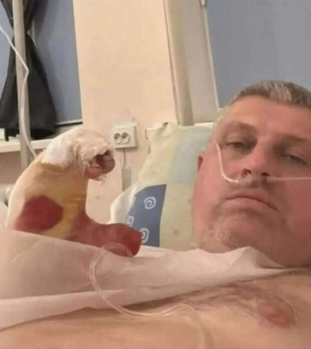 Осквернивший мемориал героям ВОВ в Судже литовский националист лишился пальцев из-за детонации неустановленного устройства