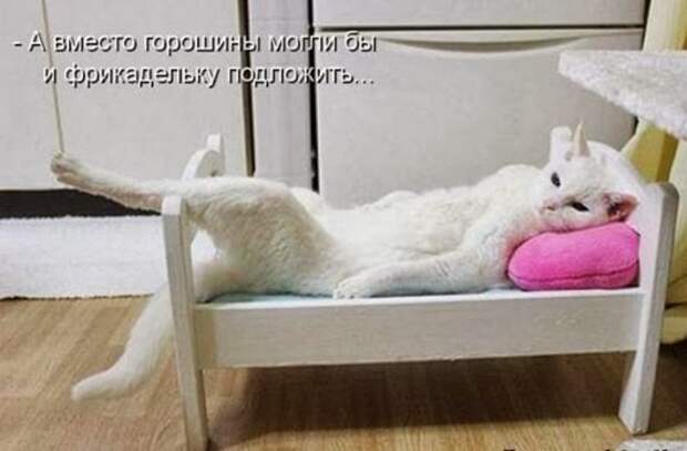 a9ffe7f4a92dd637ad4b1584a46_prev