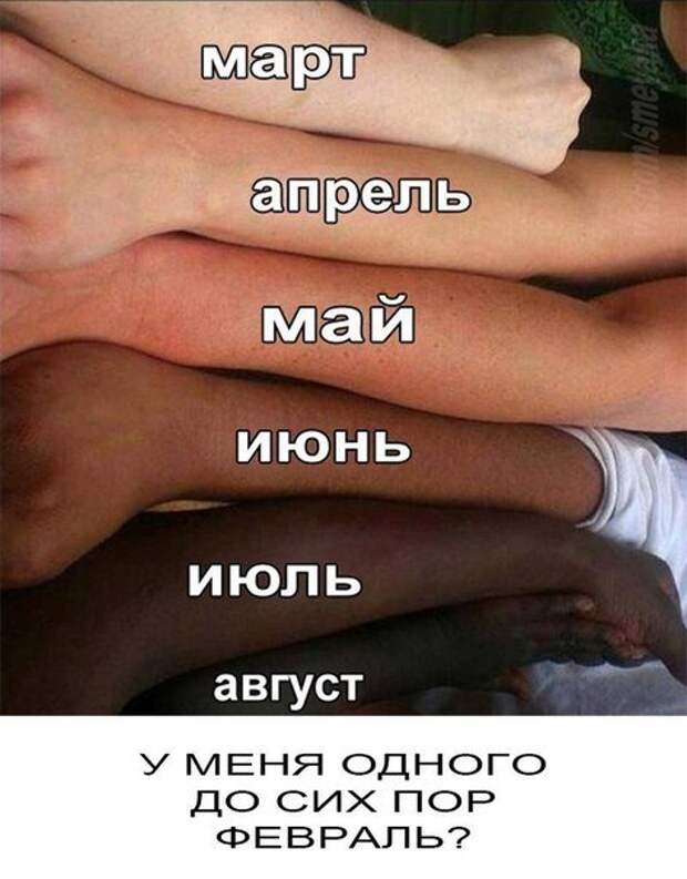Новые фотомемы (24 шт)