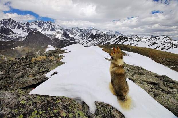 Фотографии с самыми красивыми видами Алтая