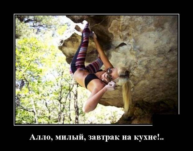 Забавные и смешные демотиваторы для хорошего настроения (11 фото) Забавные и смешные демотиваторы для хорошего настроения (11 фото)