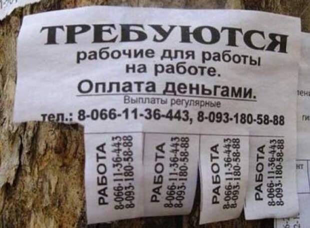 Самые весёлые объявления о приёме на различную работу
