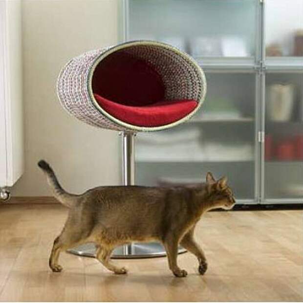 домики для кошек