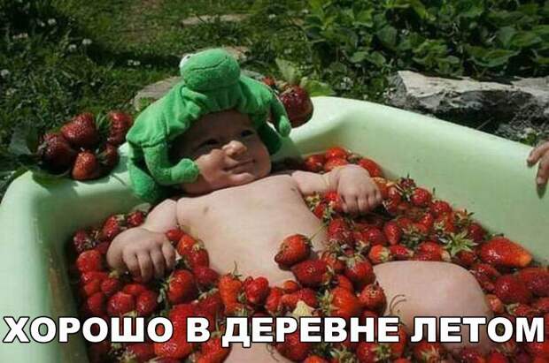 Смешные и свежие картинки с надписями до слез (12 фото) Смешные и свежие картинки с надписями до слез (12 фото)
