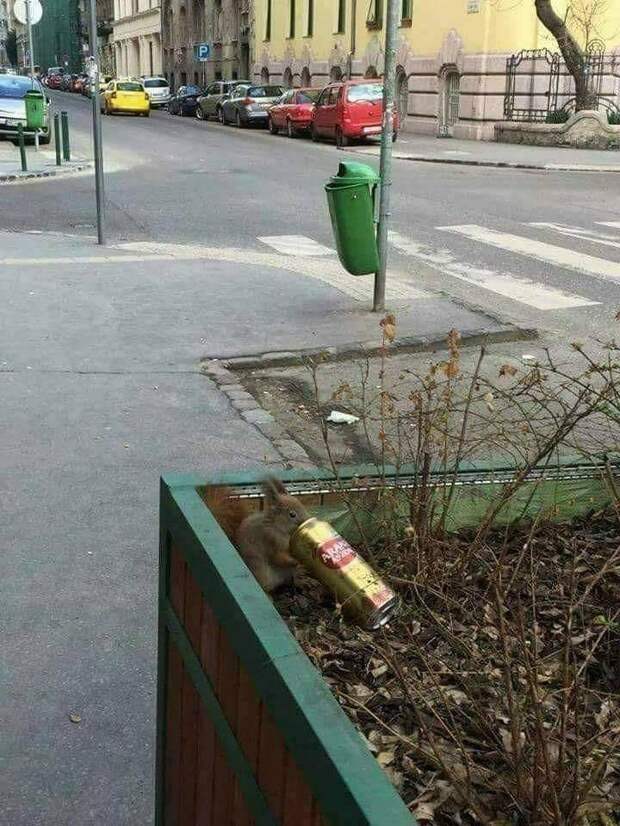 Подборка прикольных картинок