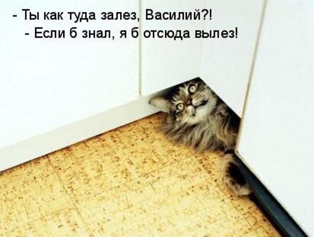 Давайте улыбаться вместе! :) (23 улыбки)