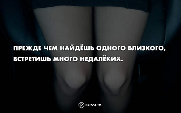 Прикольные цитаты в картинках
