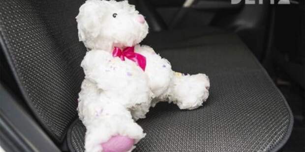 С 9 января в России штрафы за отсутствие детского кресла вырастут в разы: что грозит водителям