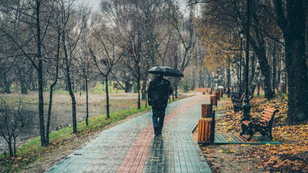 30 октября в Москве и области ожидается теплый день и мелкий дождь