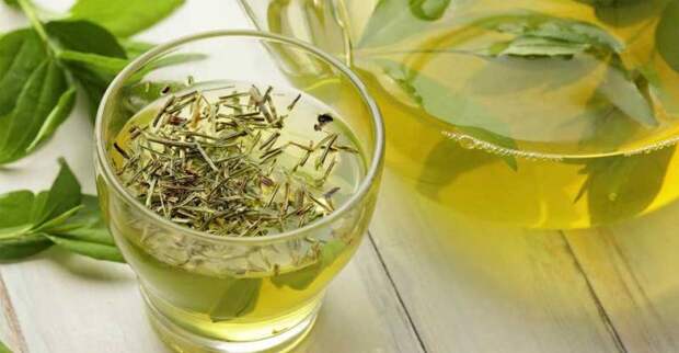 Травы от зубной боли: методы и способы лечения в домашних условиях, отзывы и советы