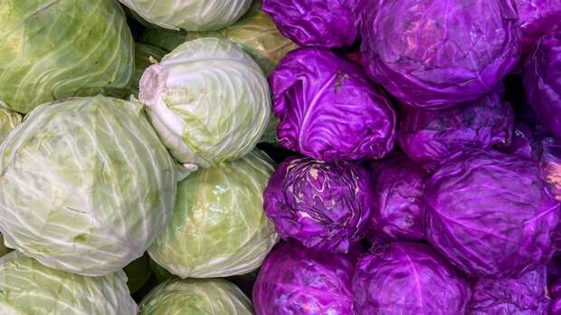 Какая капуста полезнее: красная или зеленая