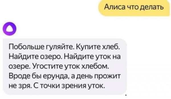 1592542712_5.jpg
