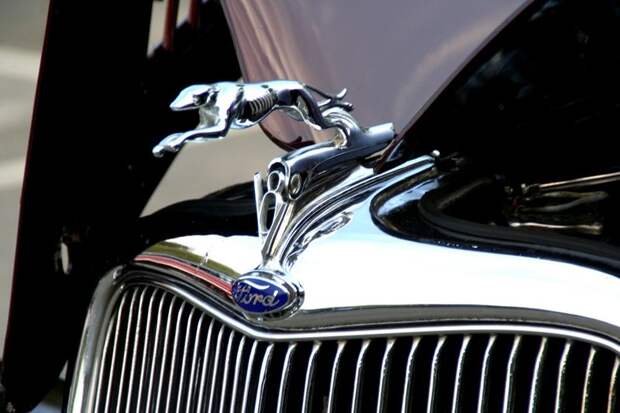 День коллекционеров в США (71 фото) День коллекционеров в США (71 фото)