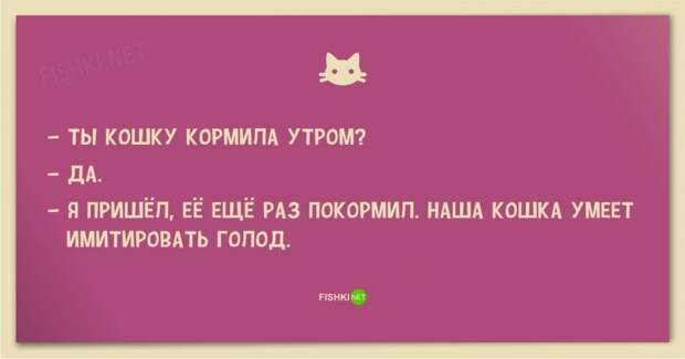 25 смешных анекдотов про кошек и котов 25 смешных анекдотов про кошек и котов