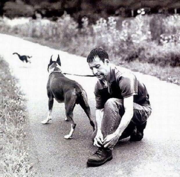 За секунду до ... приколы, смешно до слез