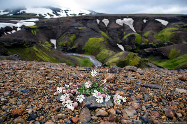 Поездка по острову Исландия