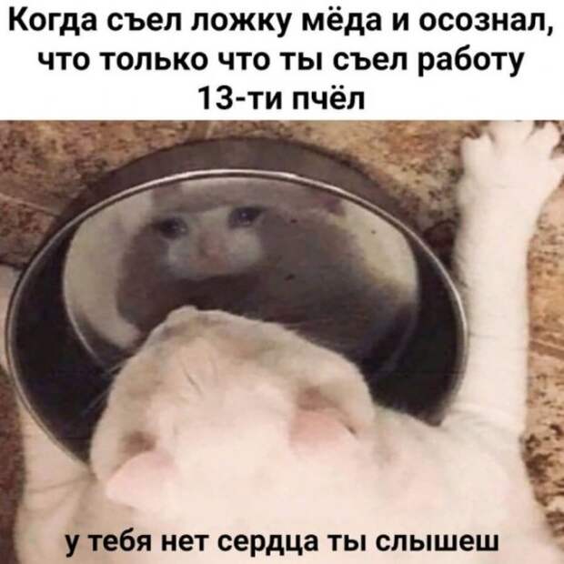 Немного картинок для настроения 27.04.20