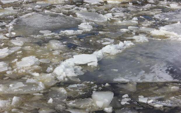 Рязанский Роспотребнадзор рассказал о безопасности во время Крещенских купаний