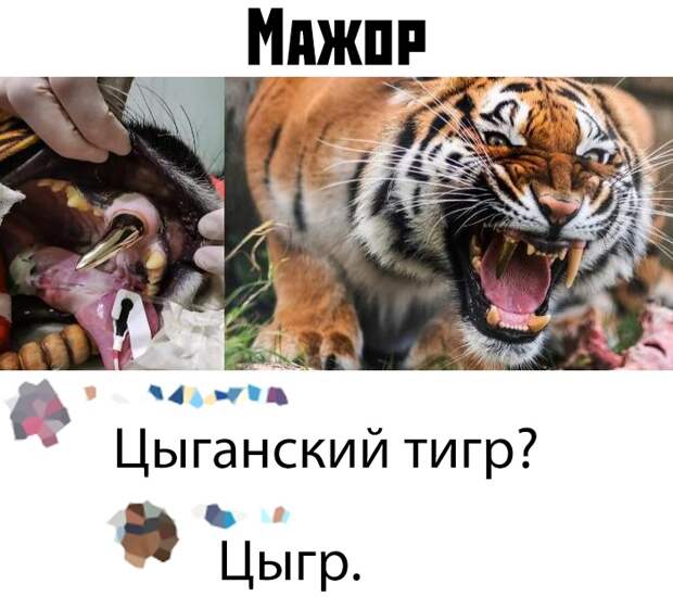 www.vsyako.net