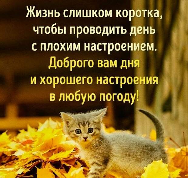 Юмор помогает пробудиться от крепкого сна