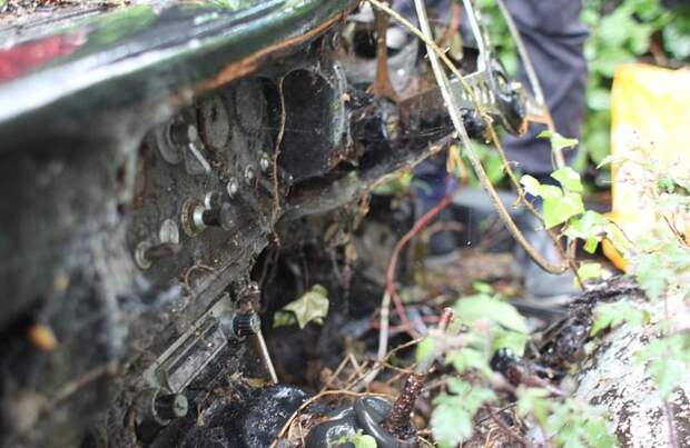 Воскрешение винтажного авто Jaguar, гнившего в зарослях почти 30 лет