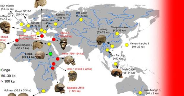 Пересмотрена дата «человека из Синги»: череп оказался моложе на 90 тысяч лет