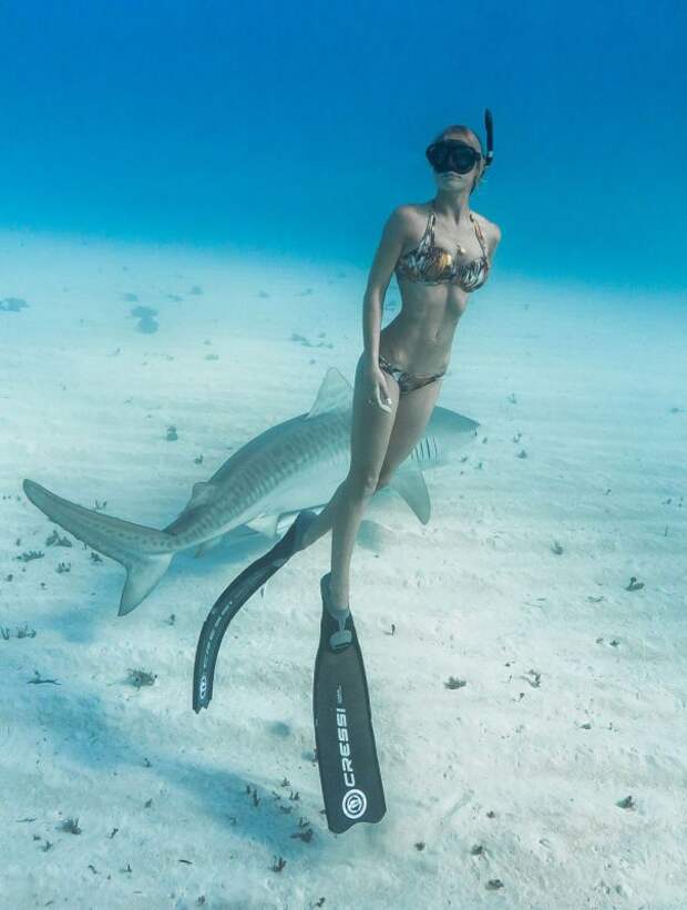 Фотография: Красавица и чудовища: смелая модель с Гавайев спасает белых акул №8 - BigPicture.ru