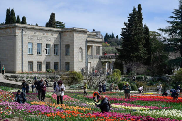 Парад тюльпанов стартует в Никитском ботаническом саду: чем удивит новая экспозиция