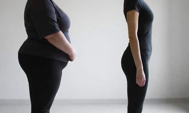 Ученые обнаружили полезное свойство бурого жира для похудения