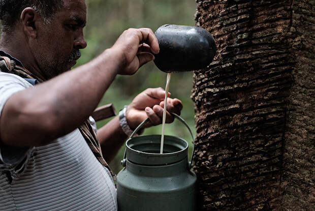 Амазонская фабрика любви: Фоторепортаж из единственного в мире этичного производства презервативов