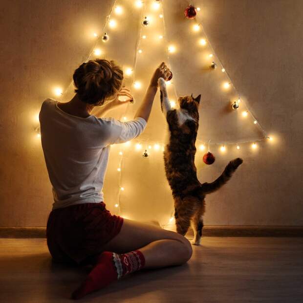 Ветеринар дала советы владельцам животных перед Новым годом